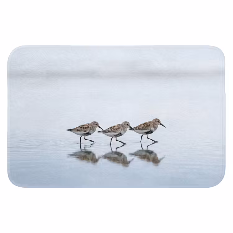Vogels - Water - Grijs Badmat klein -3d