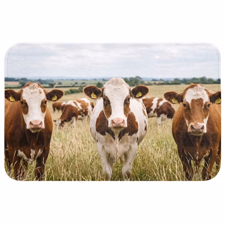 Koeien - Portret - Weide - Boerderij - Nieuwsgierig Badmat middel -3d