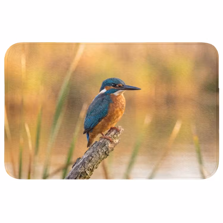 IJsvogel - Tak - Water - Kleurrijk - Levendig Badmat klein -3d