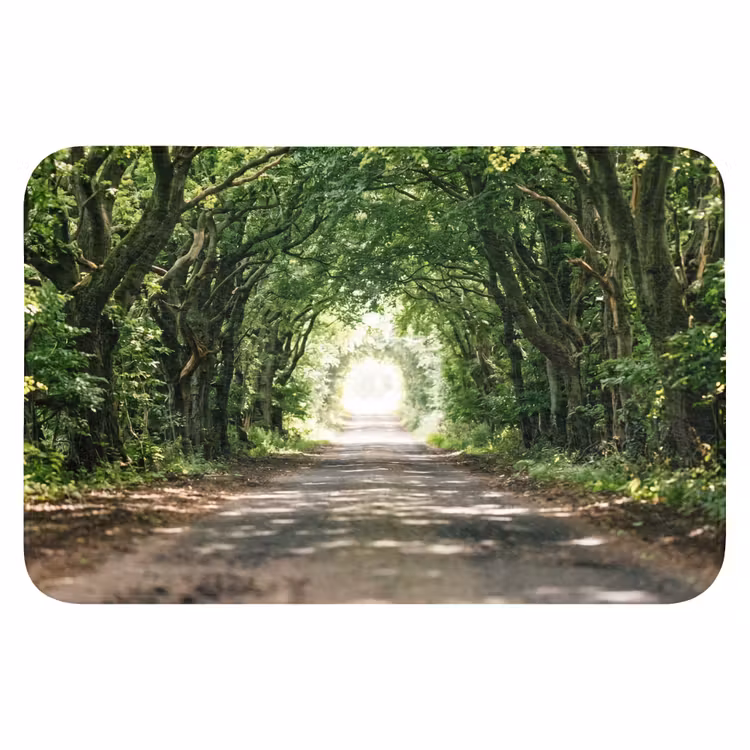 Weg - Bomen - Natuur - Groen Badmat klein -3d
