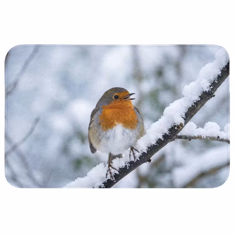 Roodborstje - Tak - Sneeuw - Winter - Levendig Badmat klein -3d