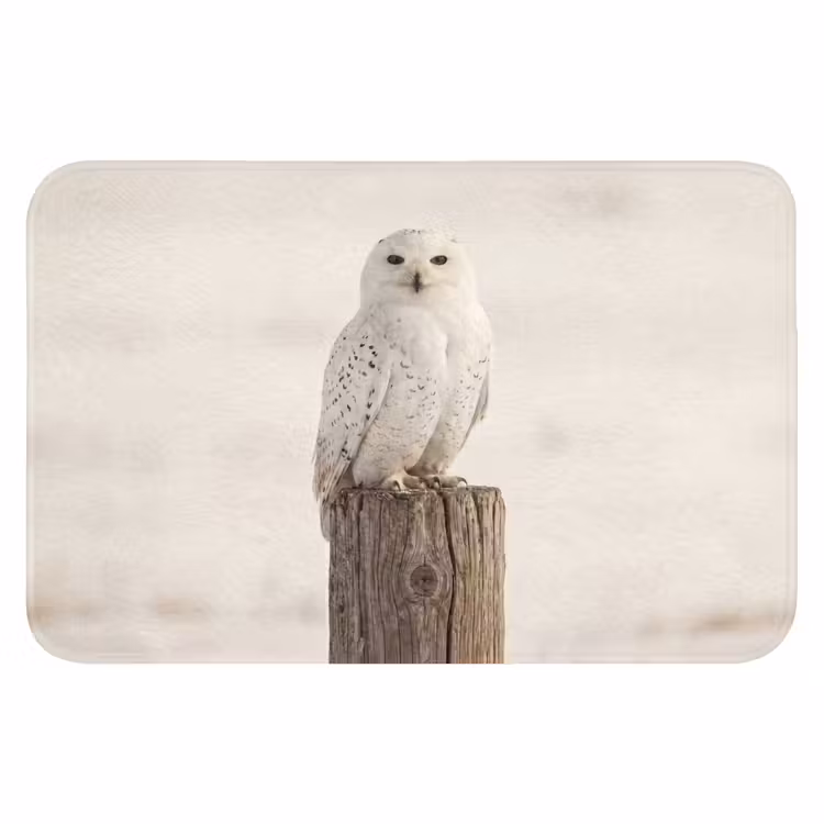 Sneeuwuil - Paal - Winter - Portret - Majestueus Badmat klein -3d