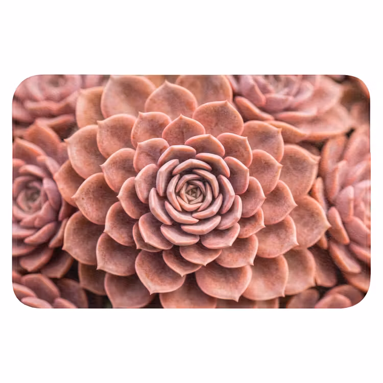 Vetplant - Organisch - Roze Badmat klein -3d