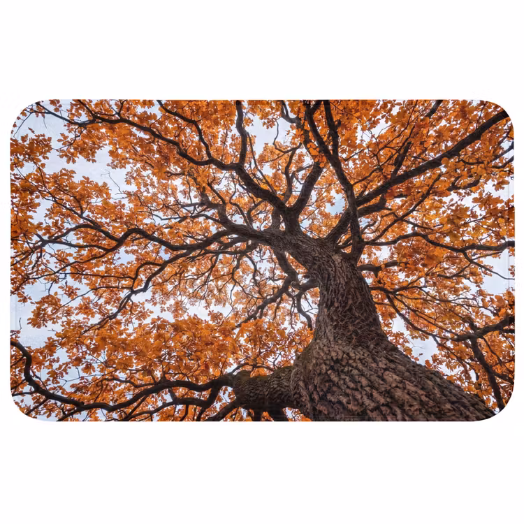 Boom - Bladerdak - Herfst - Oranje - Sfeervol Badmat klein -3d