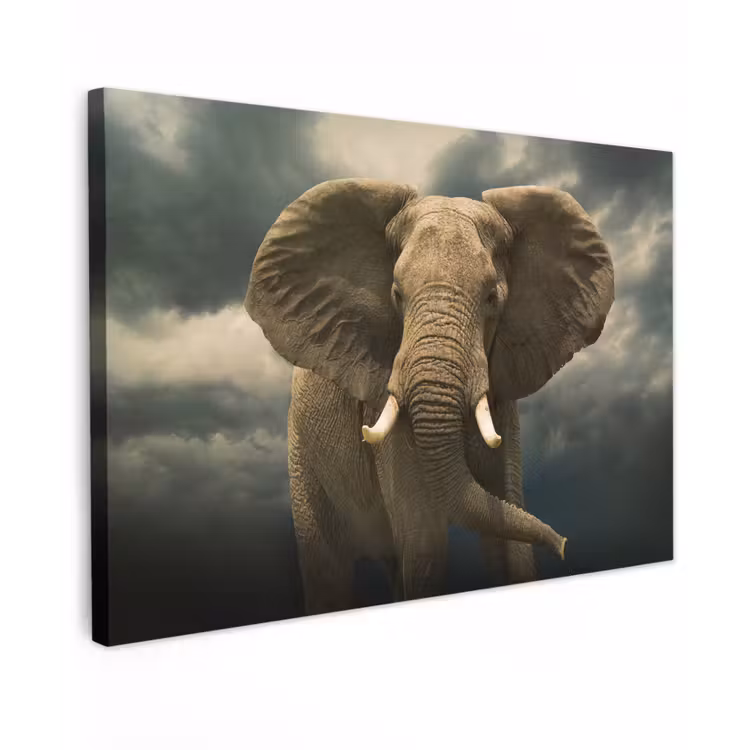 Afrikaanse olifant tegen de donkere wolken canvas 2cm klein -z3d