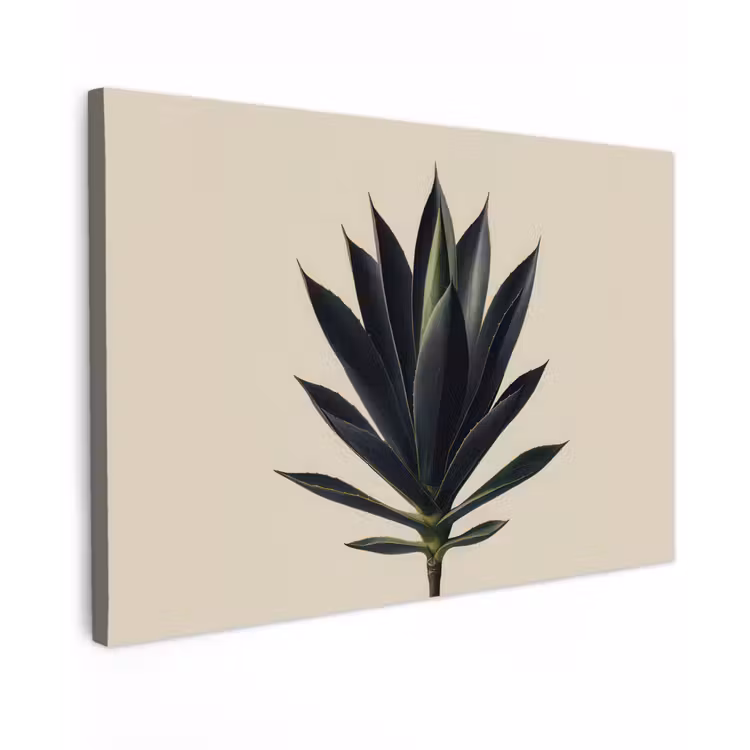 Agaveplant - Symmetrisch - Groen canvas 2cm klein -z3d