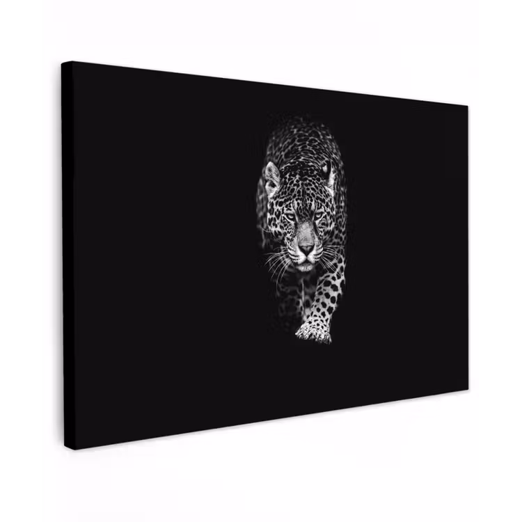 Dieren - Zwart - Luipaard - Wit - Wild canvas 2cm klein -z3d