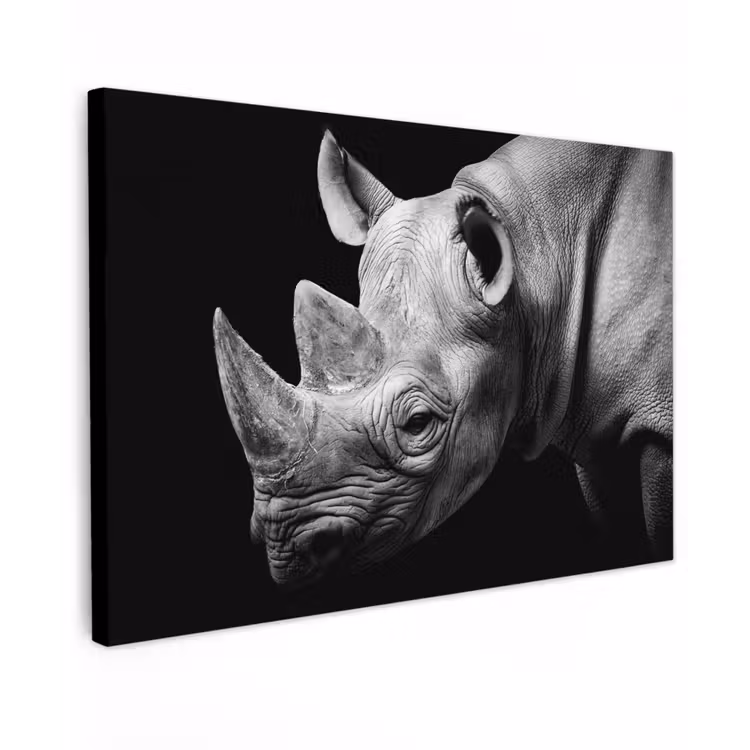 Dieren - Neushoorn - Zwart - Wit - Portret canvas 2cm klein -z3d