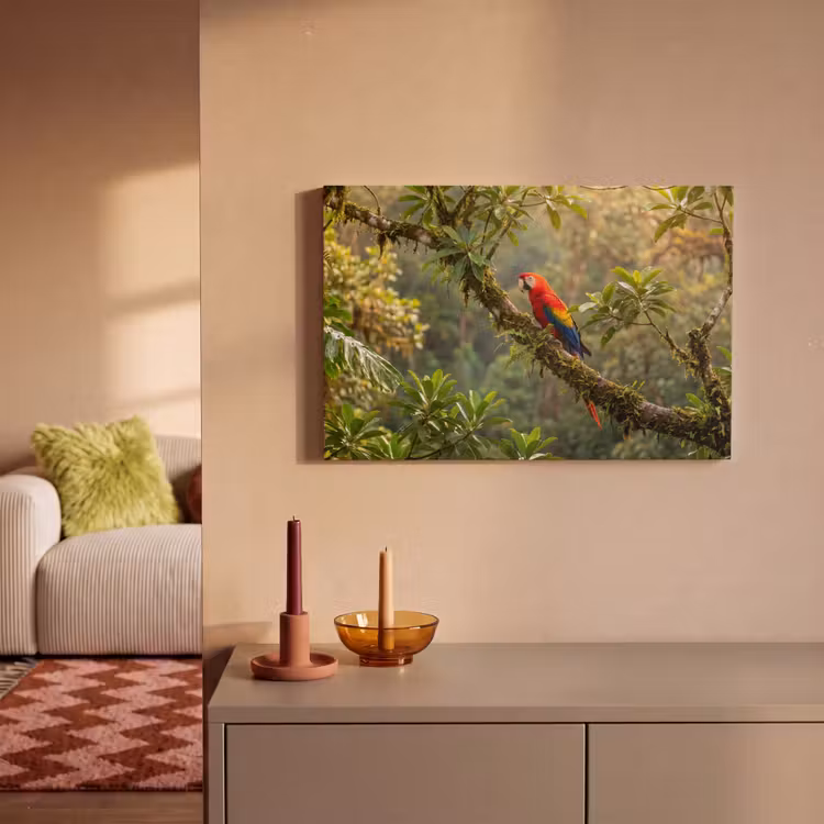 Ara - Jungle - Rood canvas 2cm klein -sfeer1