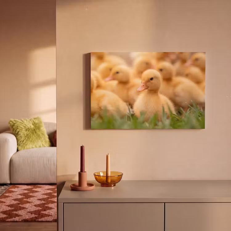 Pijltje - Eend - Natuur - Geel canvas 2cm klein -sfeer1