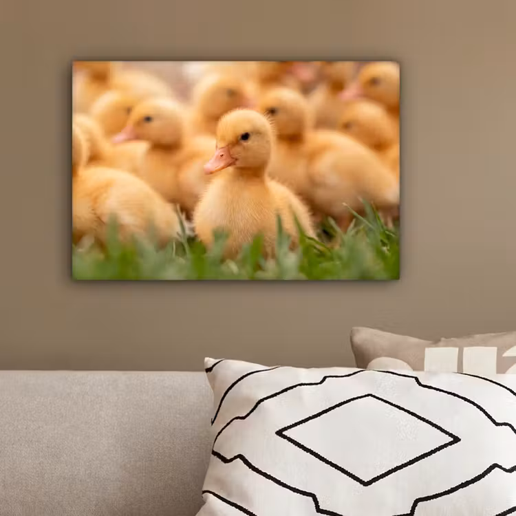 Pijltje - Eend - Natuur - Geel canvas 2cm klein -sfeer3