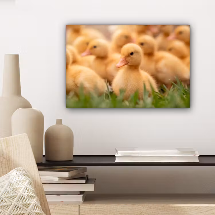 Pijltje - Eend - Natuur - Geel canvas 2cm klein -sfeer6