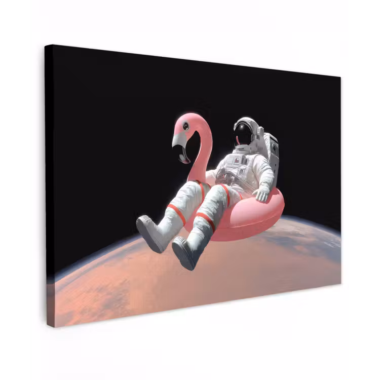 Astronaut - Flamingo - Zwemband - Roze canvas 2cm klein -z3d