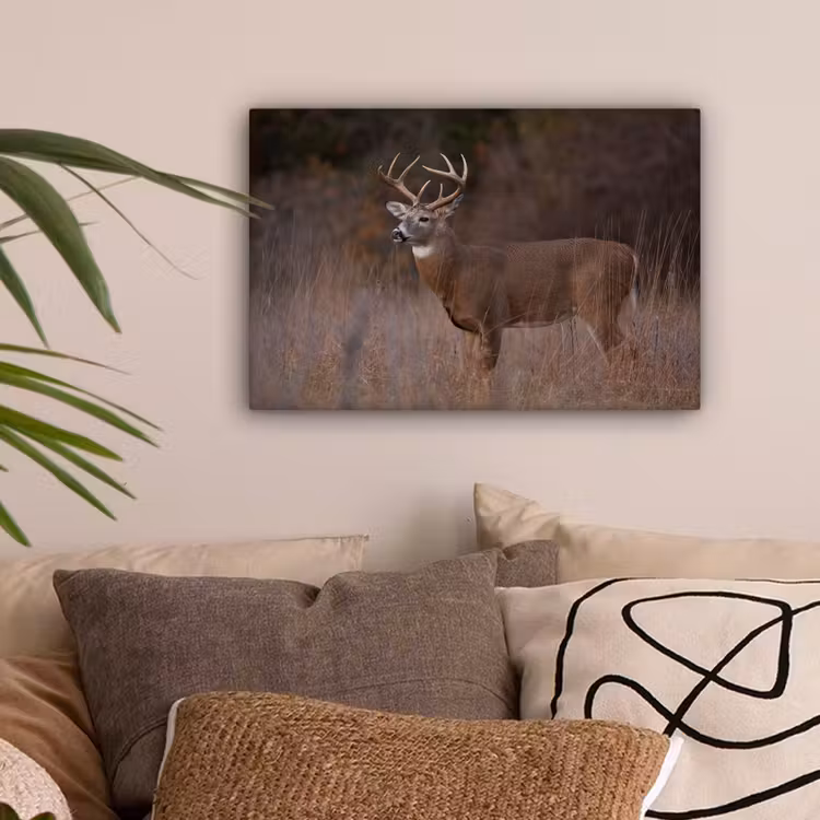 Herfst - Hert - Gras - Natuur - Dieren canvas 2cm klein -sfeer1