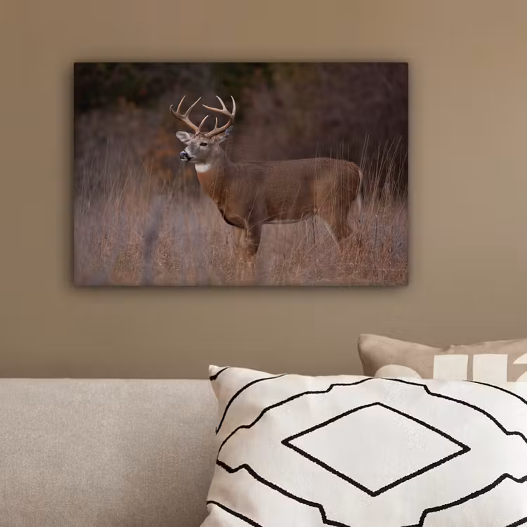 Herfst - Hert - Gras - Natuur - Dieren canvas 2cm klein -sfeer3