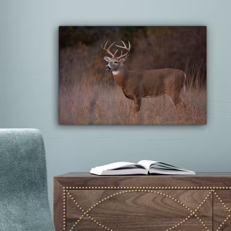 Herfst - Hert - Gras - Natuur - Dieren canvas 2cm klein -sfeer4
