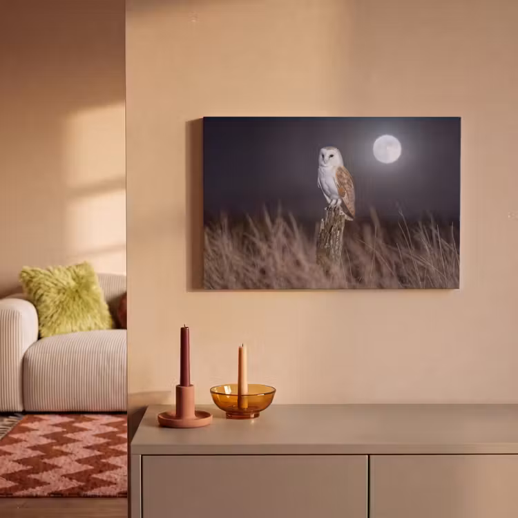 Kerkuil - Maan - Nacht canvas 2cm klein -sfeer1