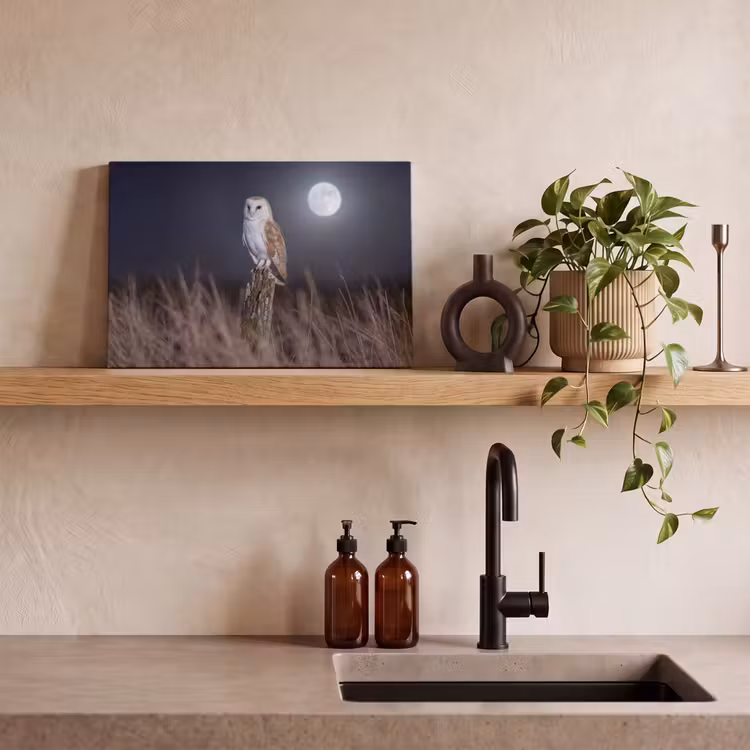 Kerkuil - Maan - Nacht canvas 2cm klein -sfeer3