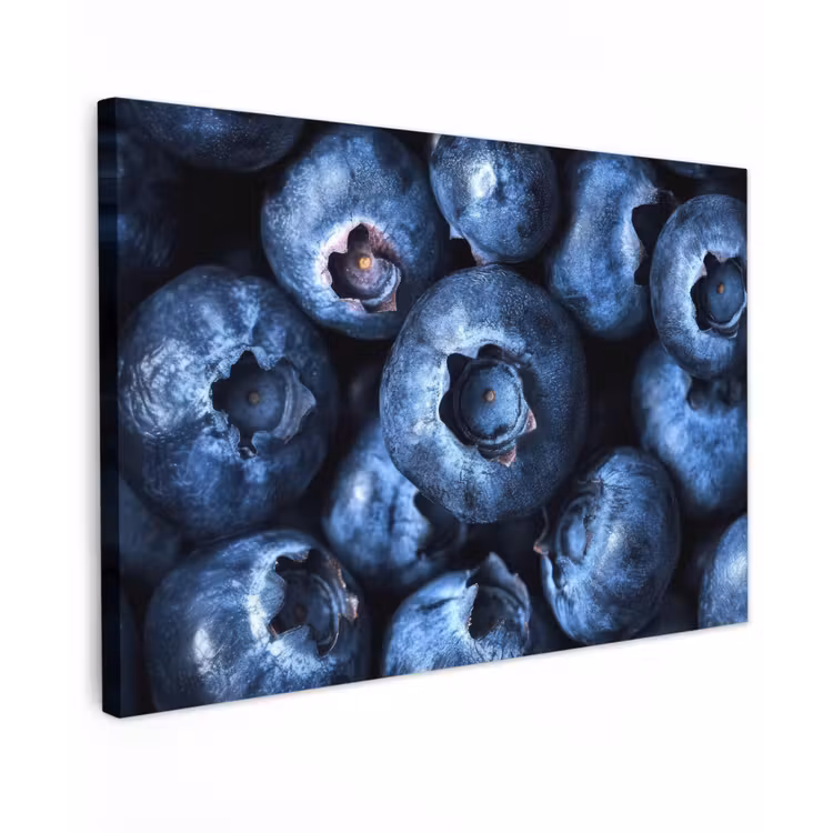 Bessen - Blauw - Fruit canvas 2cm klein -z3d