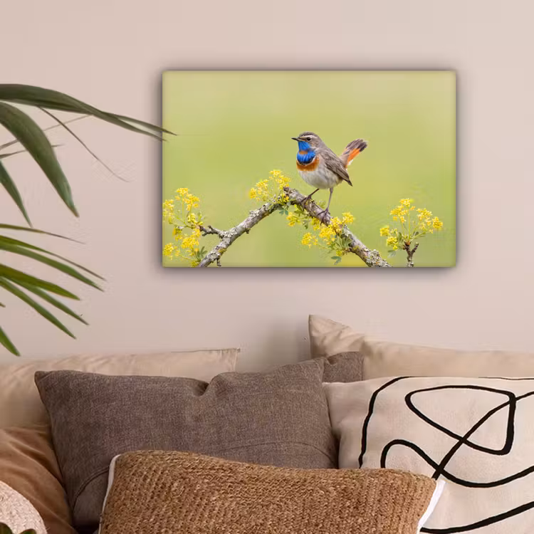 Vogel - Tak - Natuur - Kleurrijk canvas 2cm klein -sfeer1