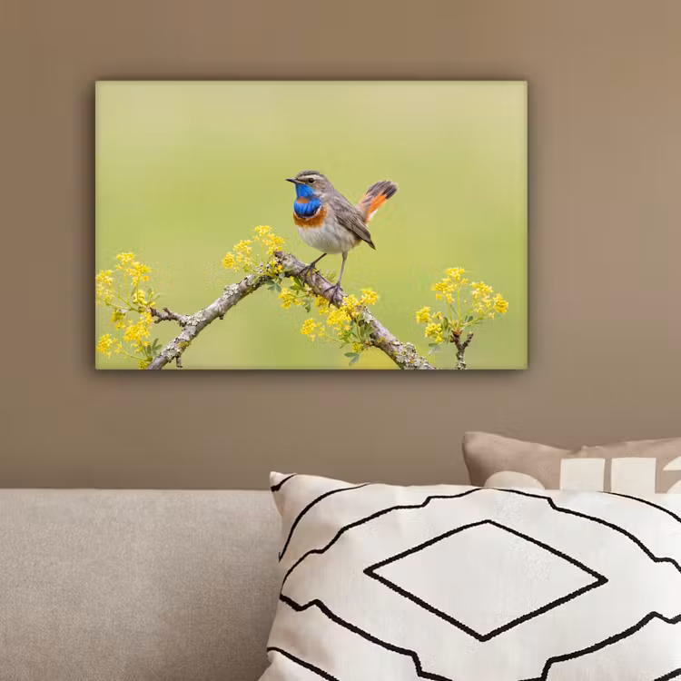 Vogel - Tak - Natuur - Kleurrijk canvas 2cm klein -sfeer3