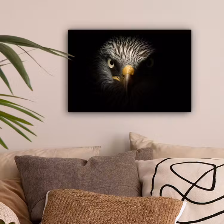 Vogel - Adelaar - Roofvogels - Oog - Snavel - Licht canvas 2cm klein -sfeer1