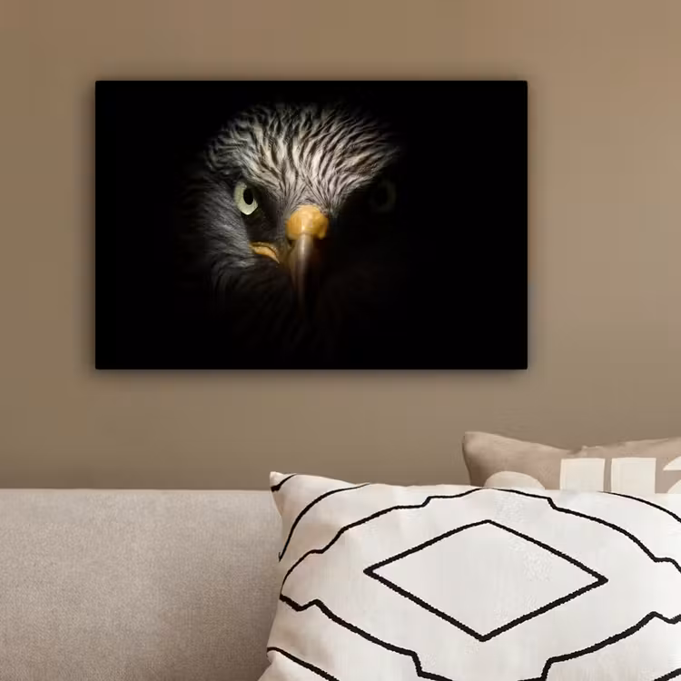 Vogel - Adelaar - Roofvogels - Oog - Snavel - Licht canvas 2cm klein -sfeer3