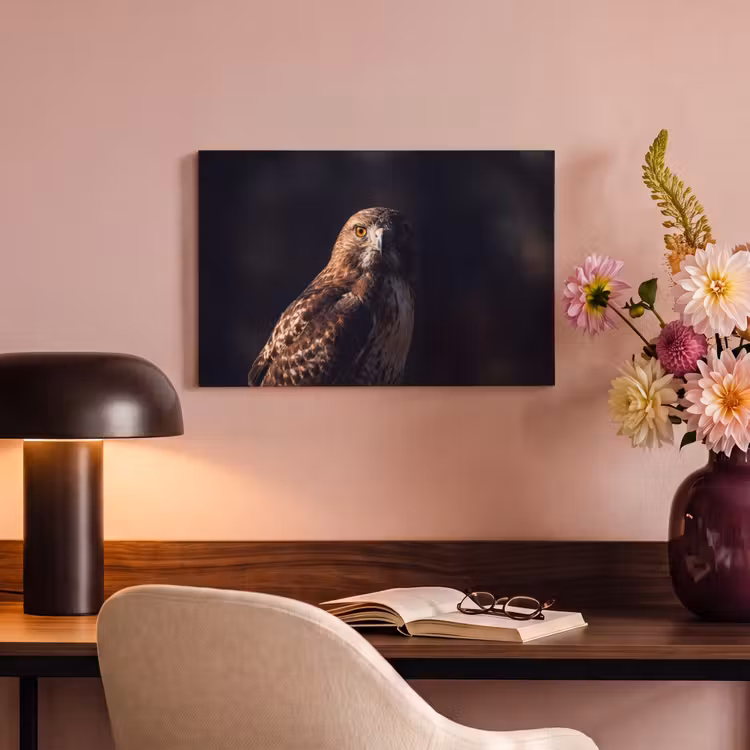 Roofvogel - Buizerd - Bruin canvas 2cm klein -sfeer4