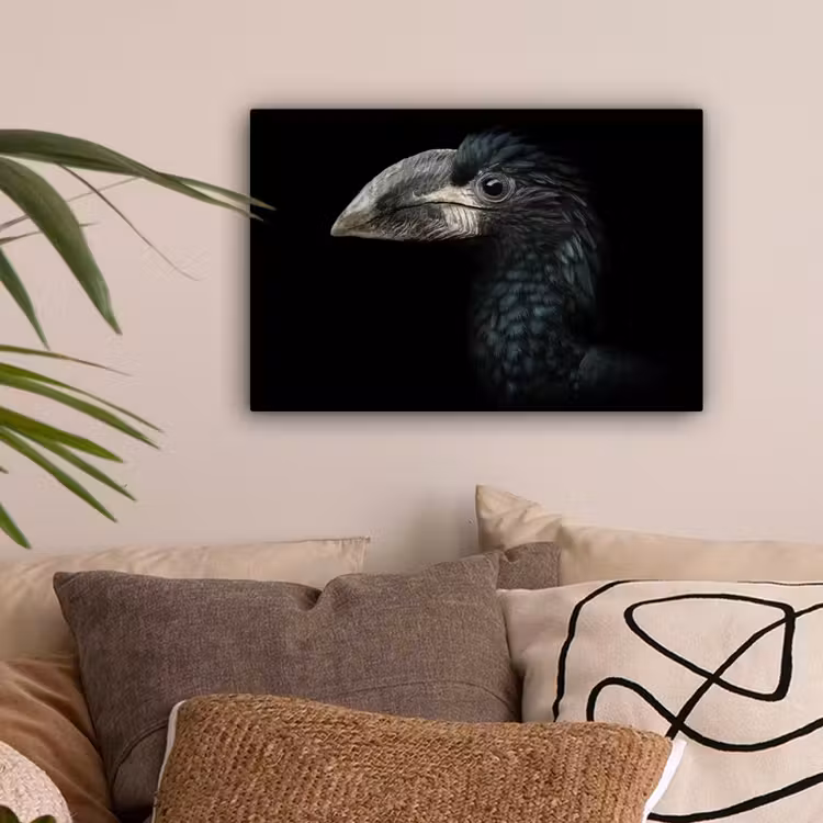 Vogel - Portret - Neushoornvogel - Zwart - Dieren canvas 2cm klein -sfeer1