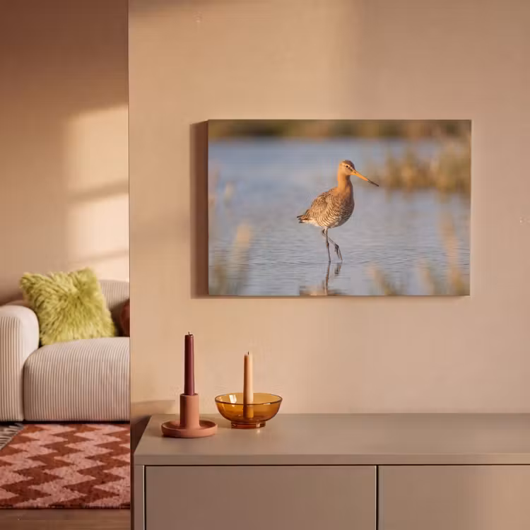 Vogel - Steltloper - Water - Natuur canvas 2cm klein -sfeer1
