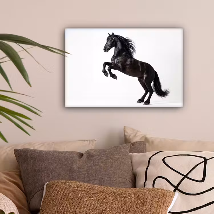 Zwart - Paard - Portret canvas 2cm klein -sfeer1