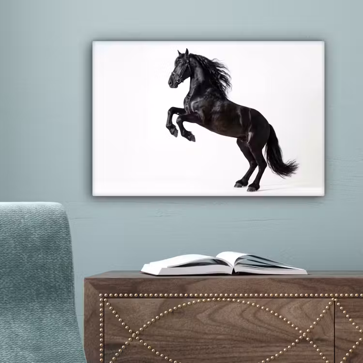 Zwart - Paard - Portret canvas 2cm klein -sfeer4