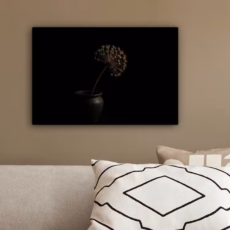 Bol - Gedroogd - Vaas - Zwart canvas 2cm klein -sfeer3