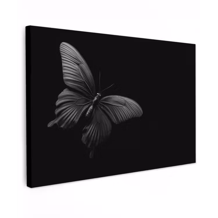 Vlinder - Zwart - Insect - Dieren canvas 2cm klein -z3d