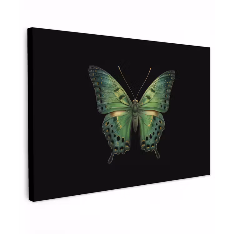 Vlinder - Groen - Diepte canvas 2cm klein -z3d