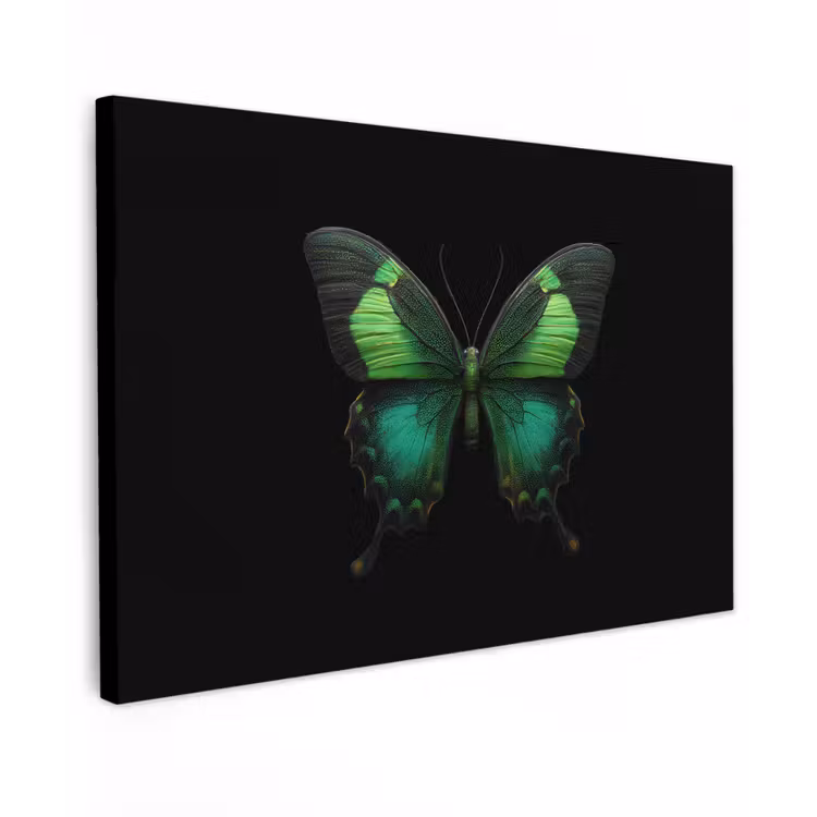 Vlinder - Groen - Opvallend canvas 2cm klein -z3d