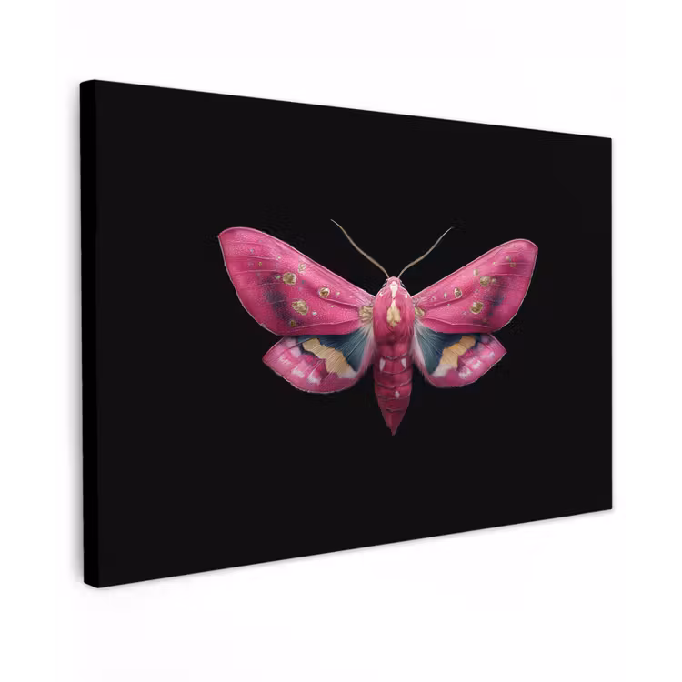 Vlinder - Roze - Nachtvlinder canvas 2cm klein -z3d