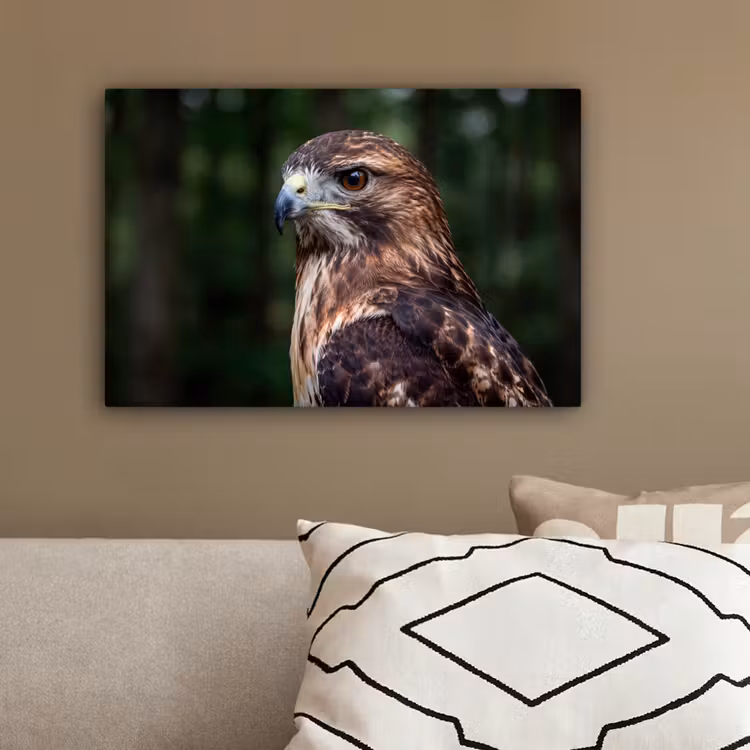 Buizerd - Roofvogel - Natuur - Bruin canvas 2cm klein -sfeer3