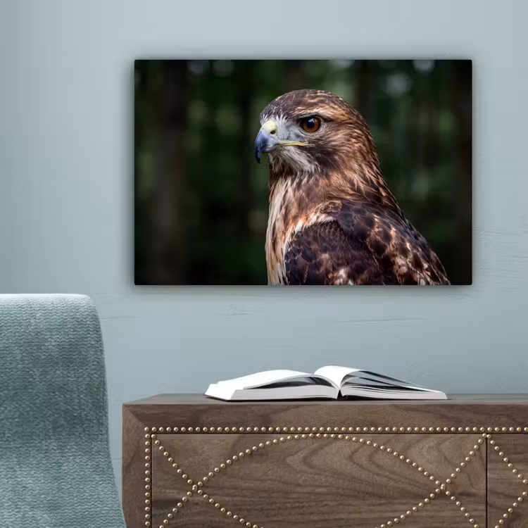 Buizerd - Roofvogel - Natuur - Bruin canvas 2cm klein -sfeer4