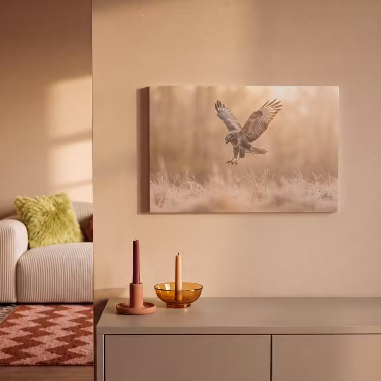 Buizerd - Roofvogel - Natuur - Bruin canvas 2cm klein -sfeer1