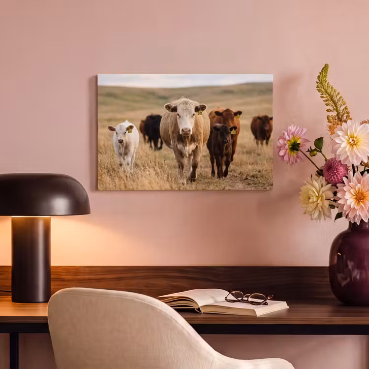 Runderen - Kudde - Landschap - Weide - Rustig canvas 2cm klein -sfeer4