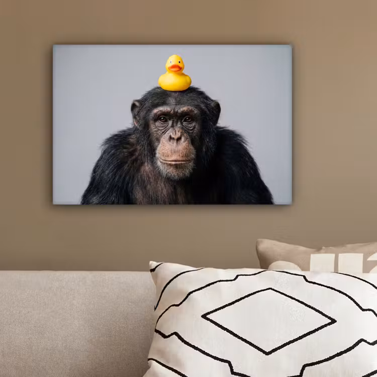 Chimpansee - Badeend - Grijs canvas 2cm klein -sfeer3