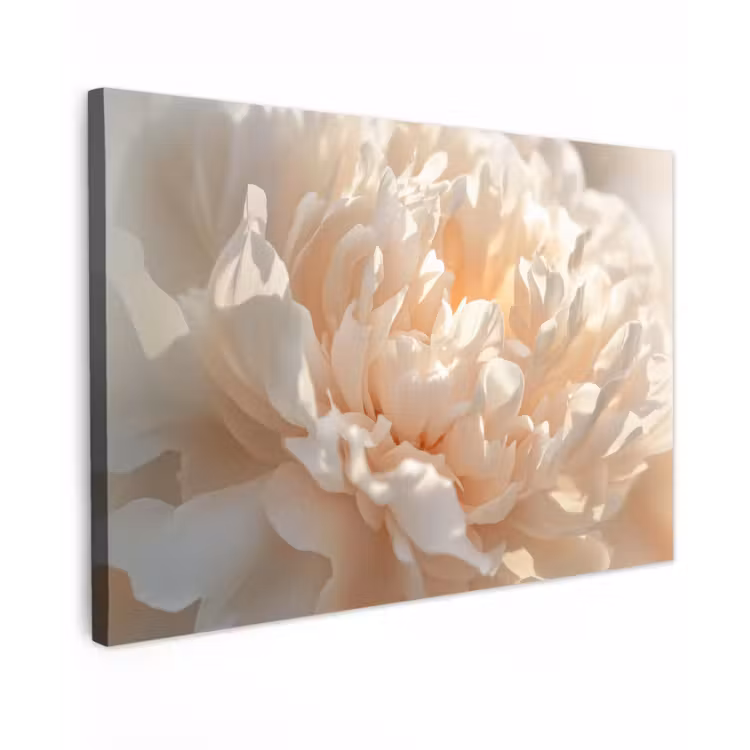 Close up - Pioenroos - Lichtroze canvas 2cm klein -z3d