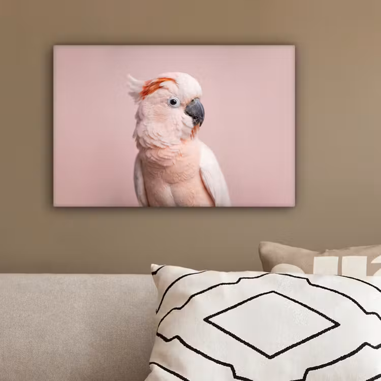 Kaketoe - Portret - Roze canvas 2cm klein -sfeer3