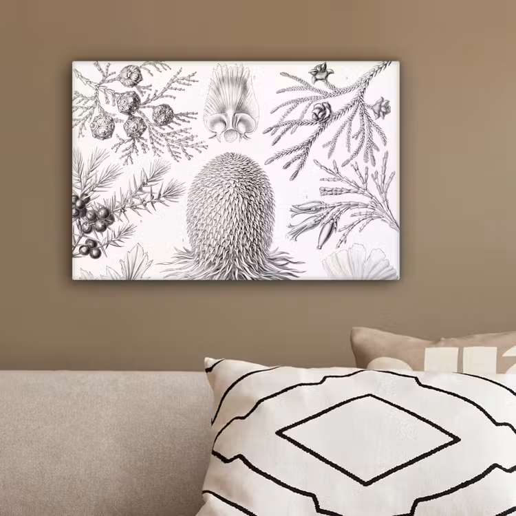 Coniferen - Ernst Haeckel - Kunst - Retro - Illustratie - Natuur canvas 2cm klein -sfeer3