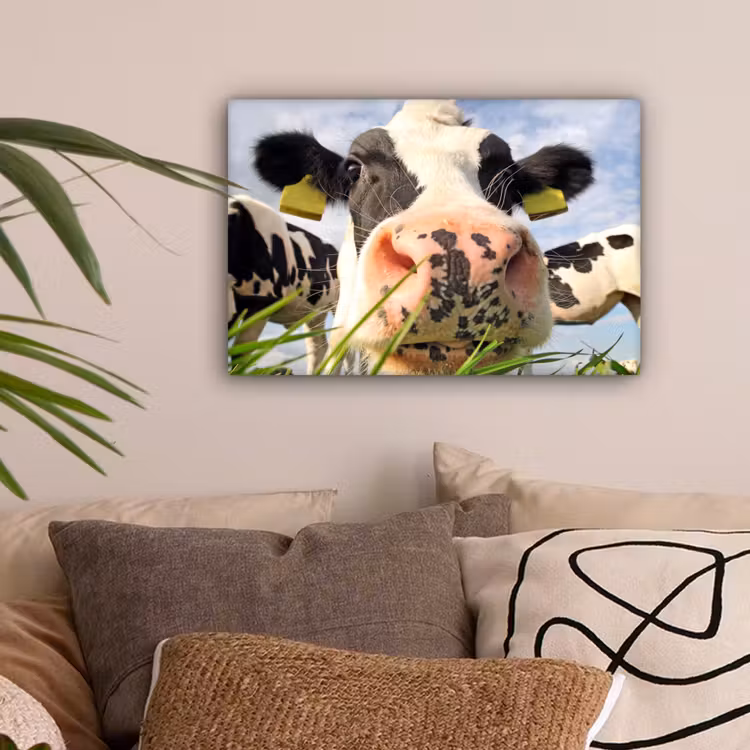 Koe - Boerderij - Gras - Dieren canvas 2cm klein -sfeer1