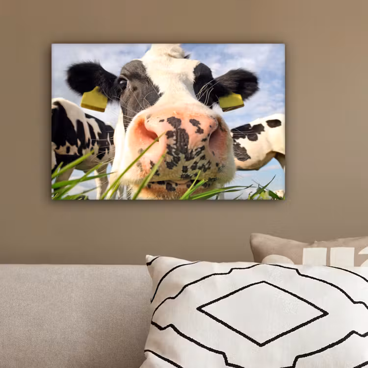 Koe - Boerderij - Gras - Dieren canvas 2cm klein -sfeer3