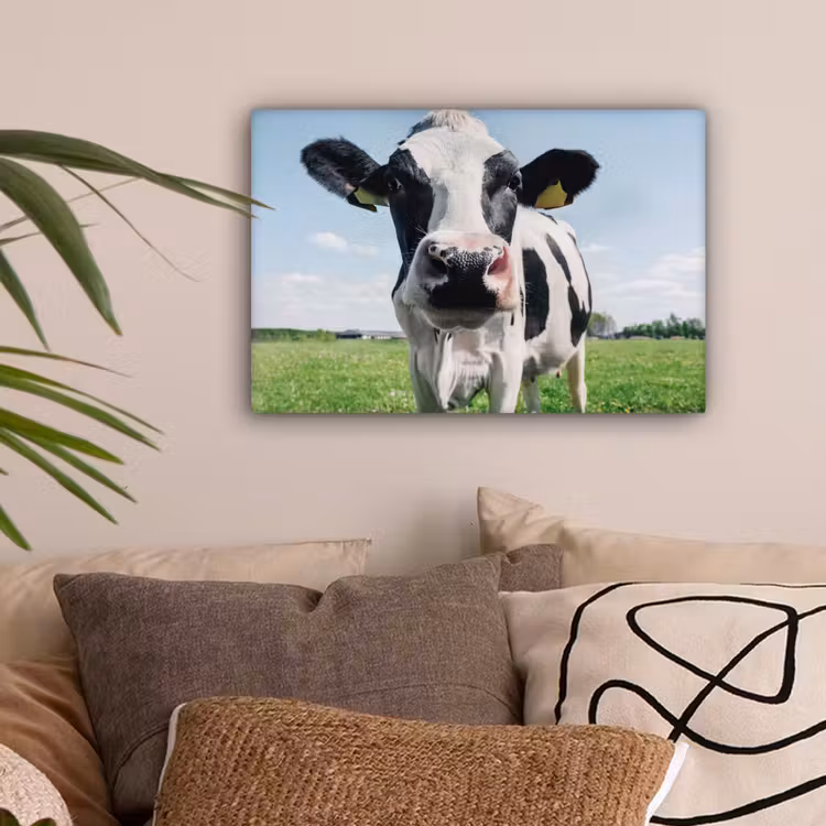 Koe - Weiland - Natuur - Dieren - Gras canvas 2cm klein -sfeer1