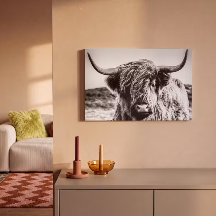 Koe - Schotse hooglander - Zwart - Wit - Dier - Natuur - Wild canvas 2cm klein -sfeer1