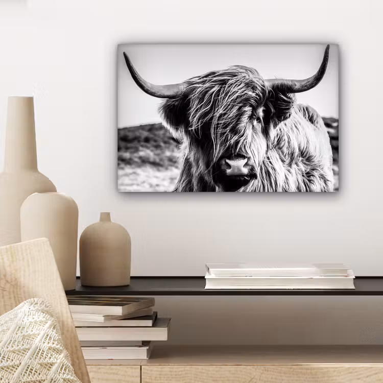 Koe - Schotse hooglander - Zwart - Wit - Dier - Natuur - Wild canvas 2cm klein -sfeer6